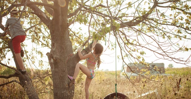 Två barn klättrar i ett träd.
