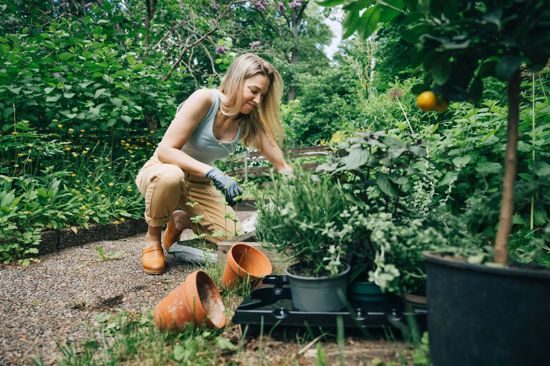 Kvinna planterar utomhus, foto.