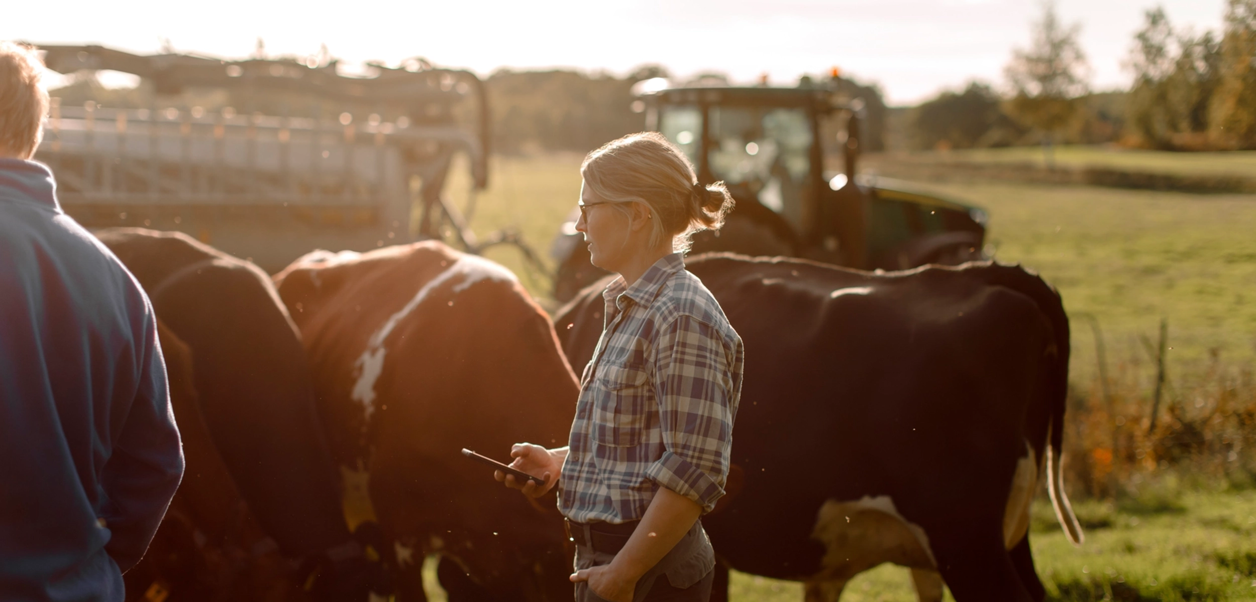 Kvinnlig lantbrukare vid kossor.