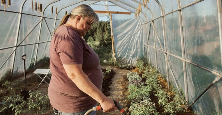 Företagare i växthus.