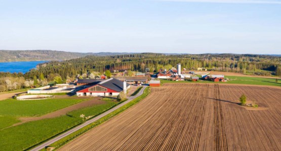 Lantbruk, åker och skog.