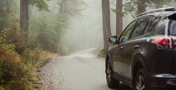 Foto av svart bil på skogsväg.