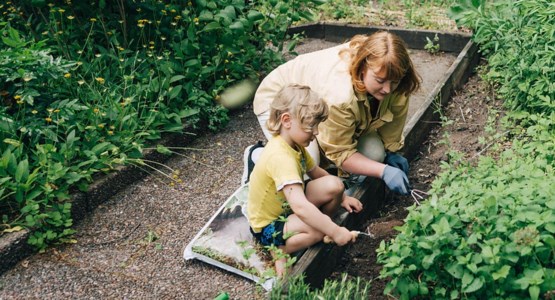 Liten pojke planterar växter med sin mamma i rabatt.