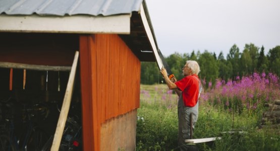 Äldre man sågar tak på sin gård, fotografi.