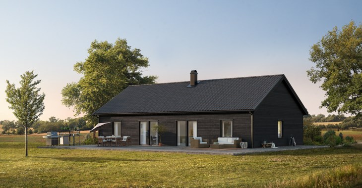 Svart Fiskarhedenvilla.