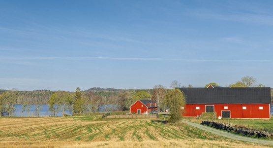 Naturvy över åker, sjö och lantgård.