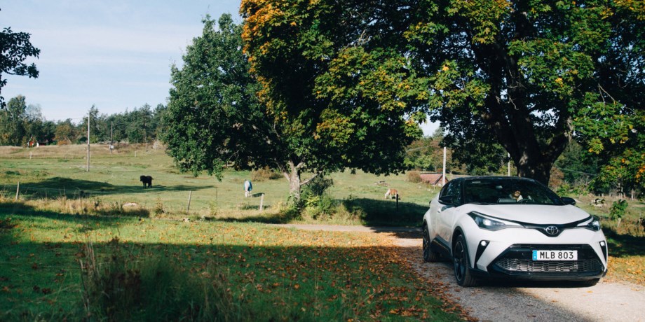 Vit bil kör på grusväg vid hagar och skog.