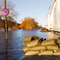 Översvämning i en stad.