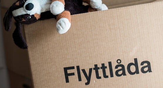 Flyttlåda med gosedjur