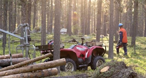 Fyrhjuling i skogen.