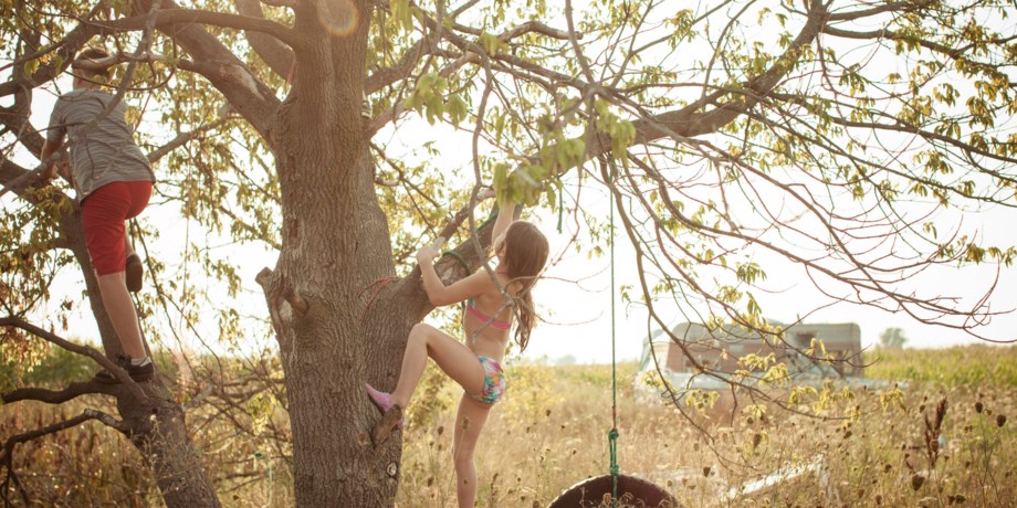 Två barn klättar i ett stort träd en sommarkväll.