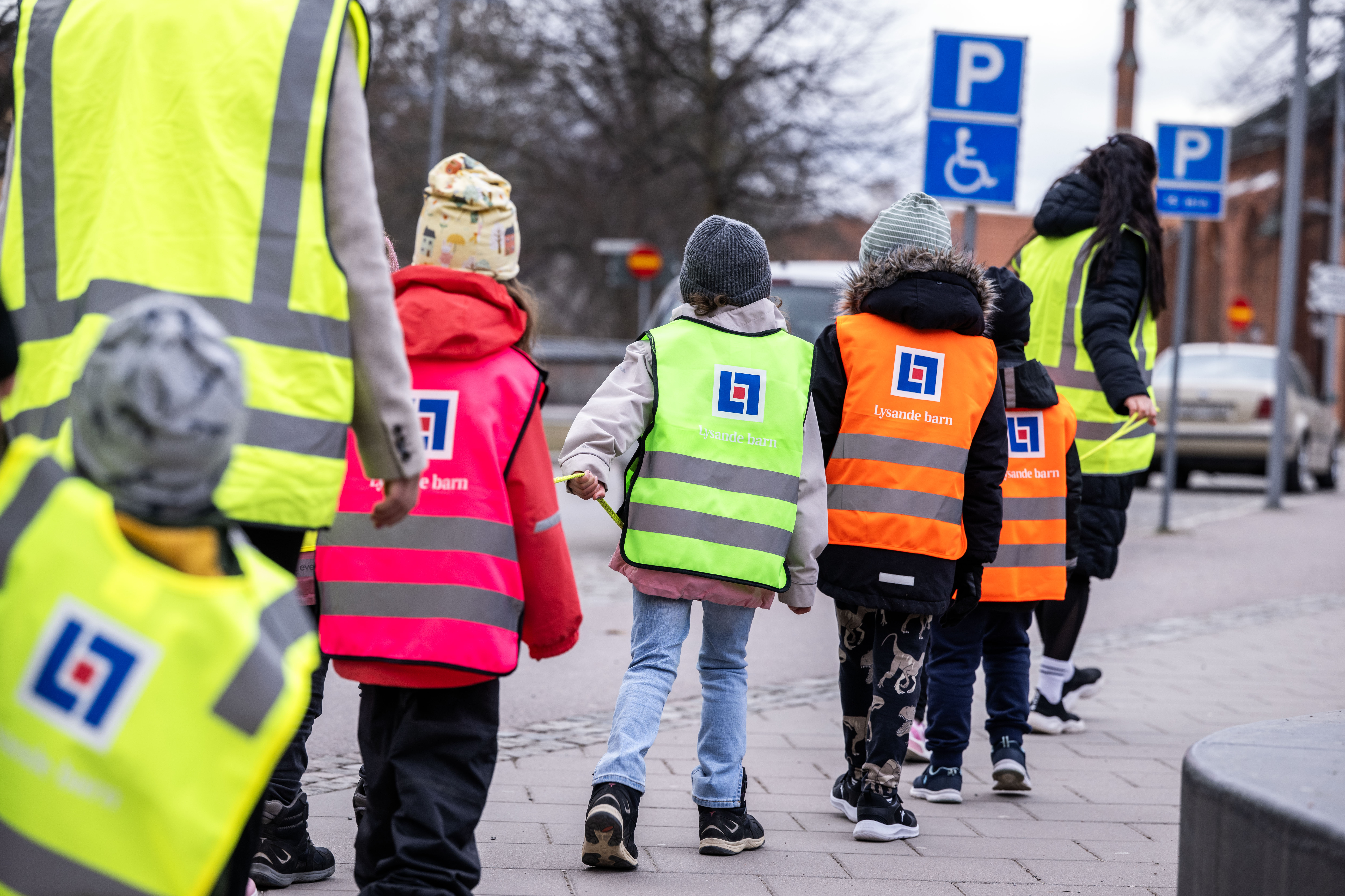 Ficklampa lyser på en reflex