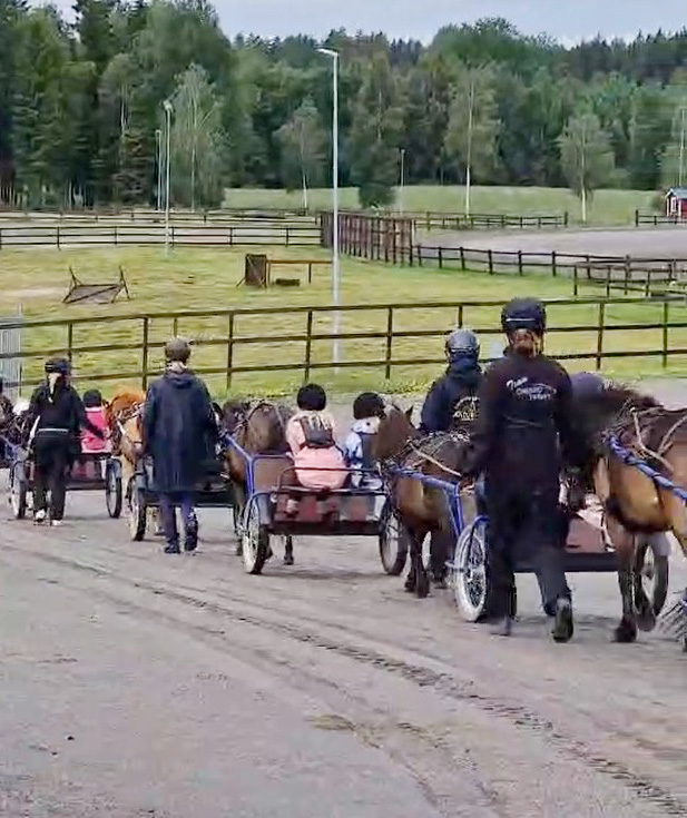 Barn kör travhästar.
