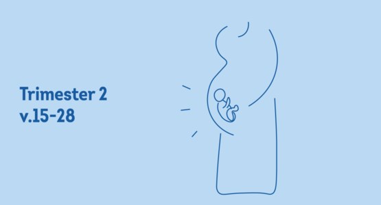 Gravid kvinna i andra trimestern