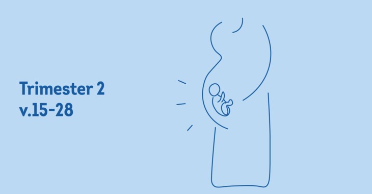 Illustration av gravid mamma.