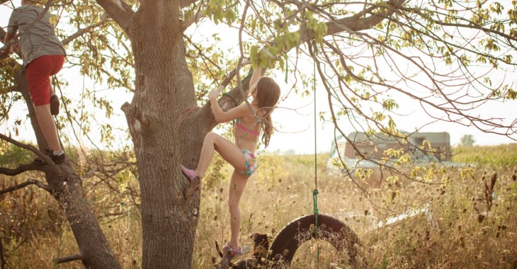 Barn som klättrar i träd.