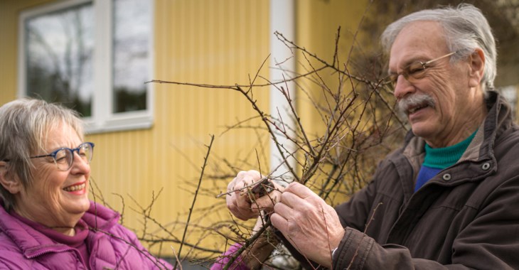 Boel och Ronnie Glimhall i sin trädgård.