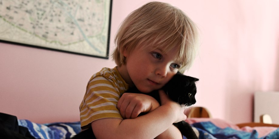 Pojke kramar en katt