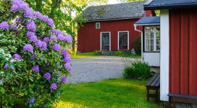 Bild på stuga i vårsol