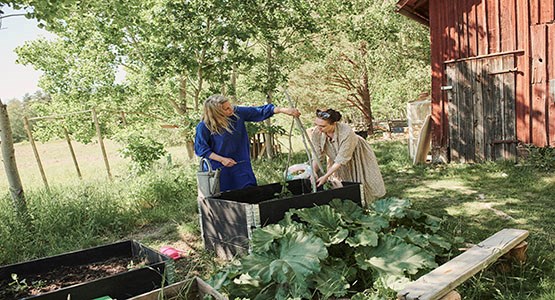 Två kvinnor odlar i en trädgård.