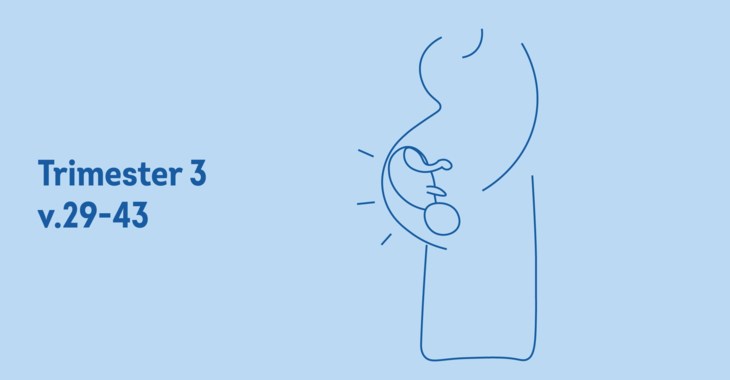 Illustration av gravid mamma.