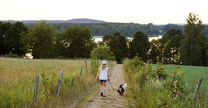 Flicka rastar sin hund på landet, foto.
