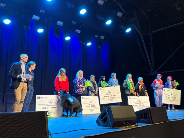 Vinnare av Trygghetspriset 2025 på scenen. 