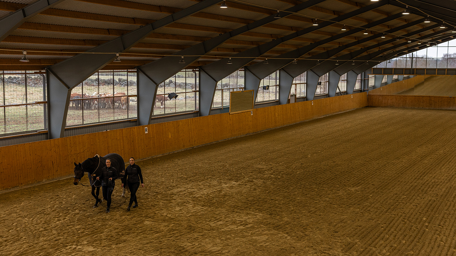 1500_843_Trygg H&auml;stg&aring;rd2.jpg