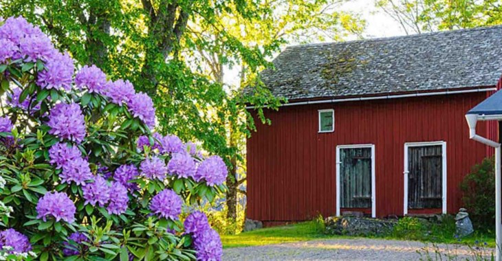 Röd sommarstuga som representerar ett dödsbo.