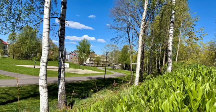 Betelparken i Sunne.