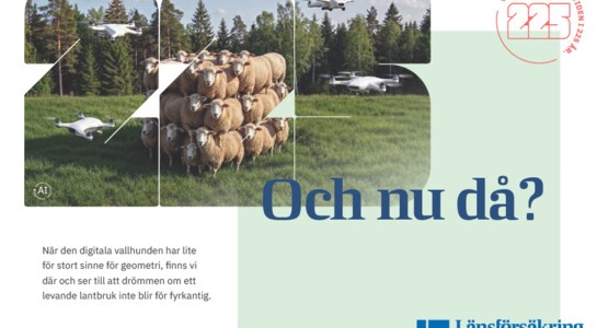 Får staplade i en perfekt pyramid på en grön äng, omgivna av skog, medan flera drönare flyger runt dem. Stora siffran 225 syns över motivet tillsammans med texten ”Och nu då?” och en kort text om digital vallhund, framtidens lantbruk och Länsförsäkringar Kronobergs 225-årsfirande.