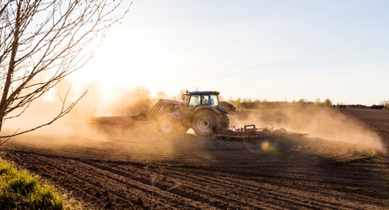 Trakor plöjer på åker i eftermiddagssol