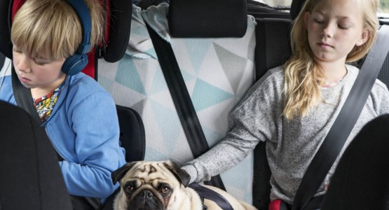 Barn och hund som sitter i baksätet i bilen.