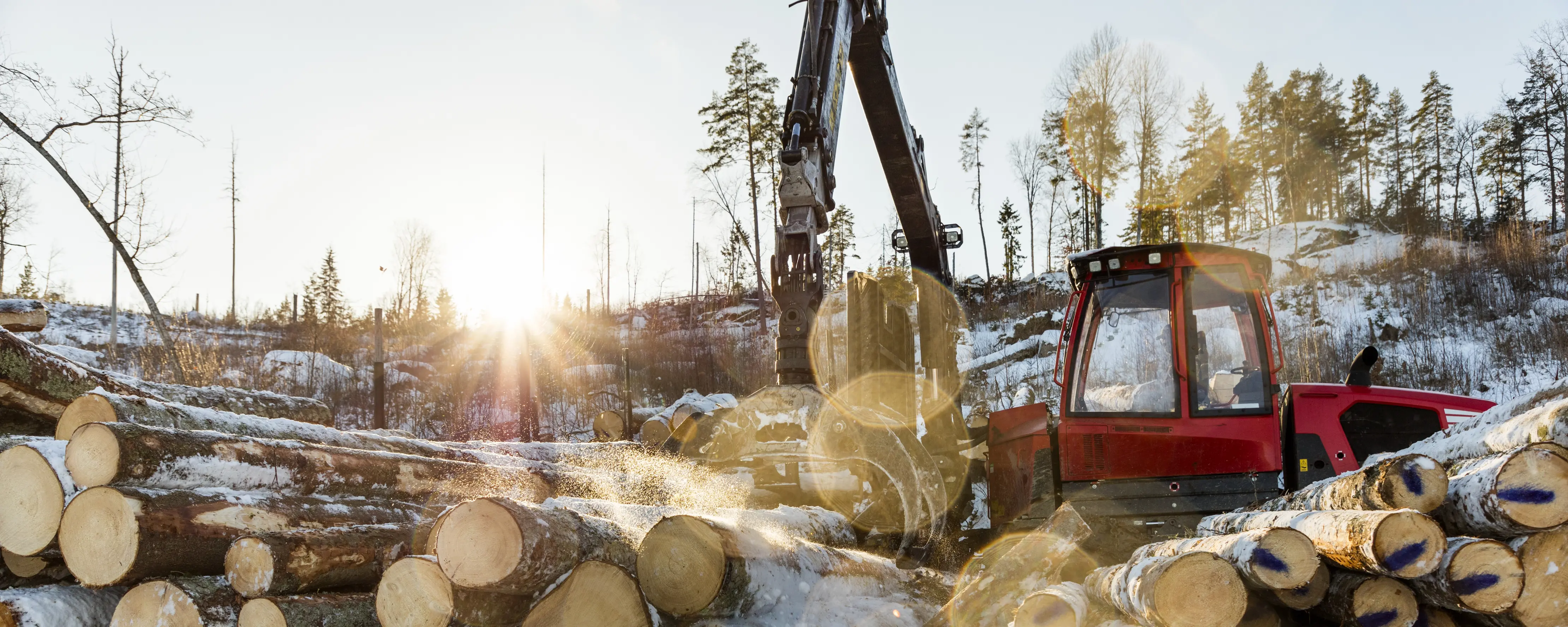 Skogsmaskin arbetar med timmer under en solig vinterdag.