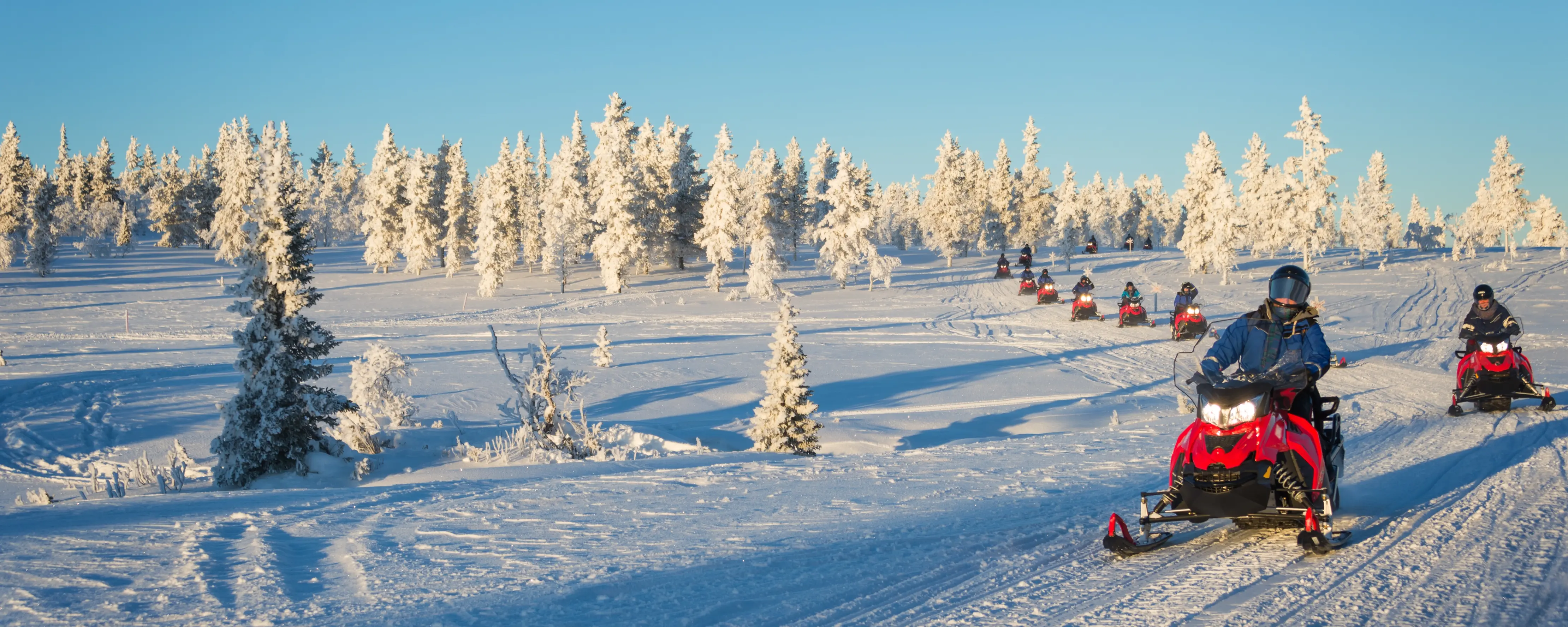 Snöskoteråkare ute och åker i vinterlandskap med skogen i bakgrunden.