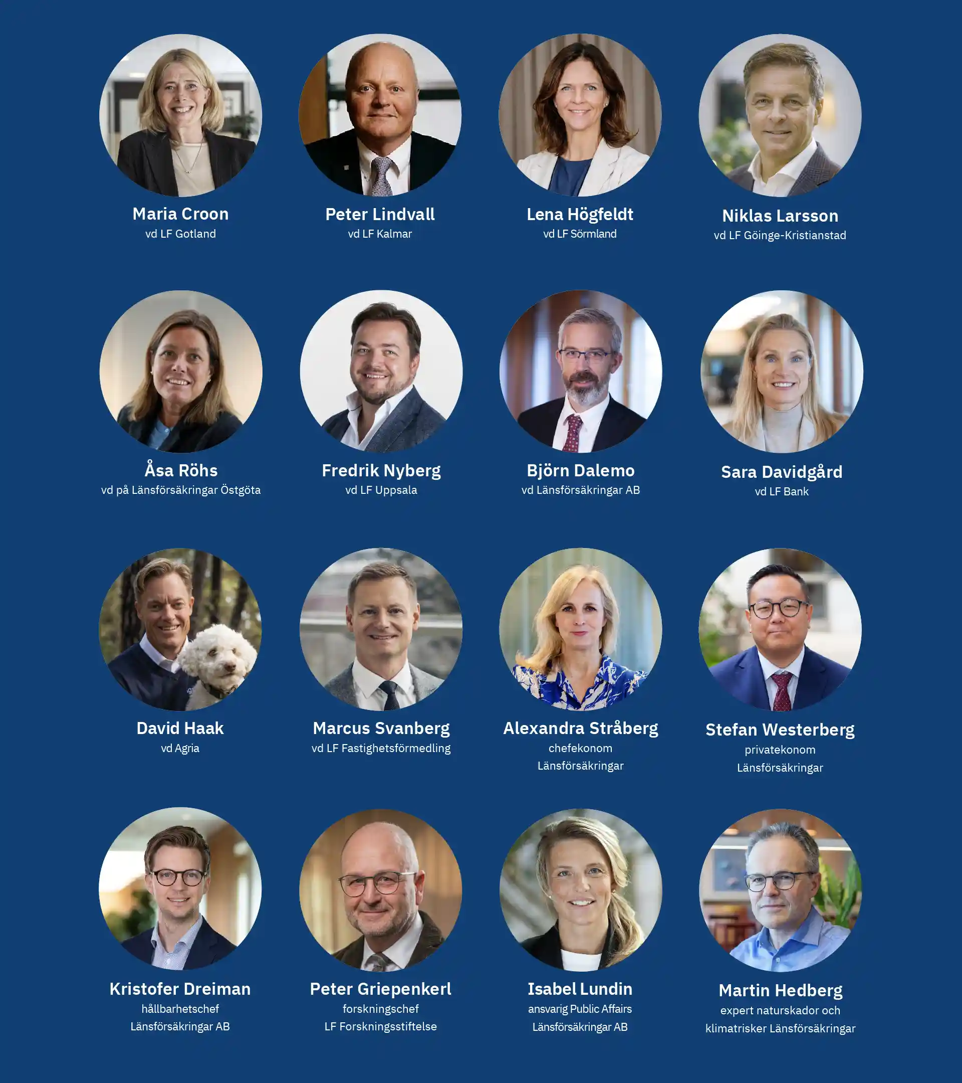 Flera bilder på de som man kan träffa i Almedalen 