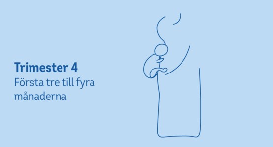 Kvinna med bebis i fjärde trimestern. Illustration.