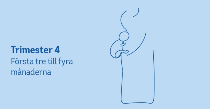 Gravid mamma. Illustration.