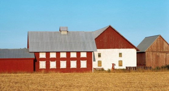 lantbruksbyggnad i solsken på våren