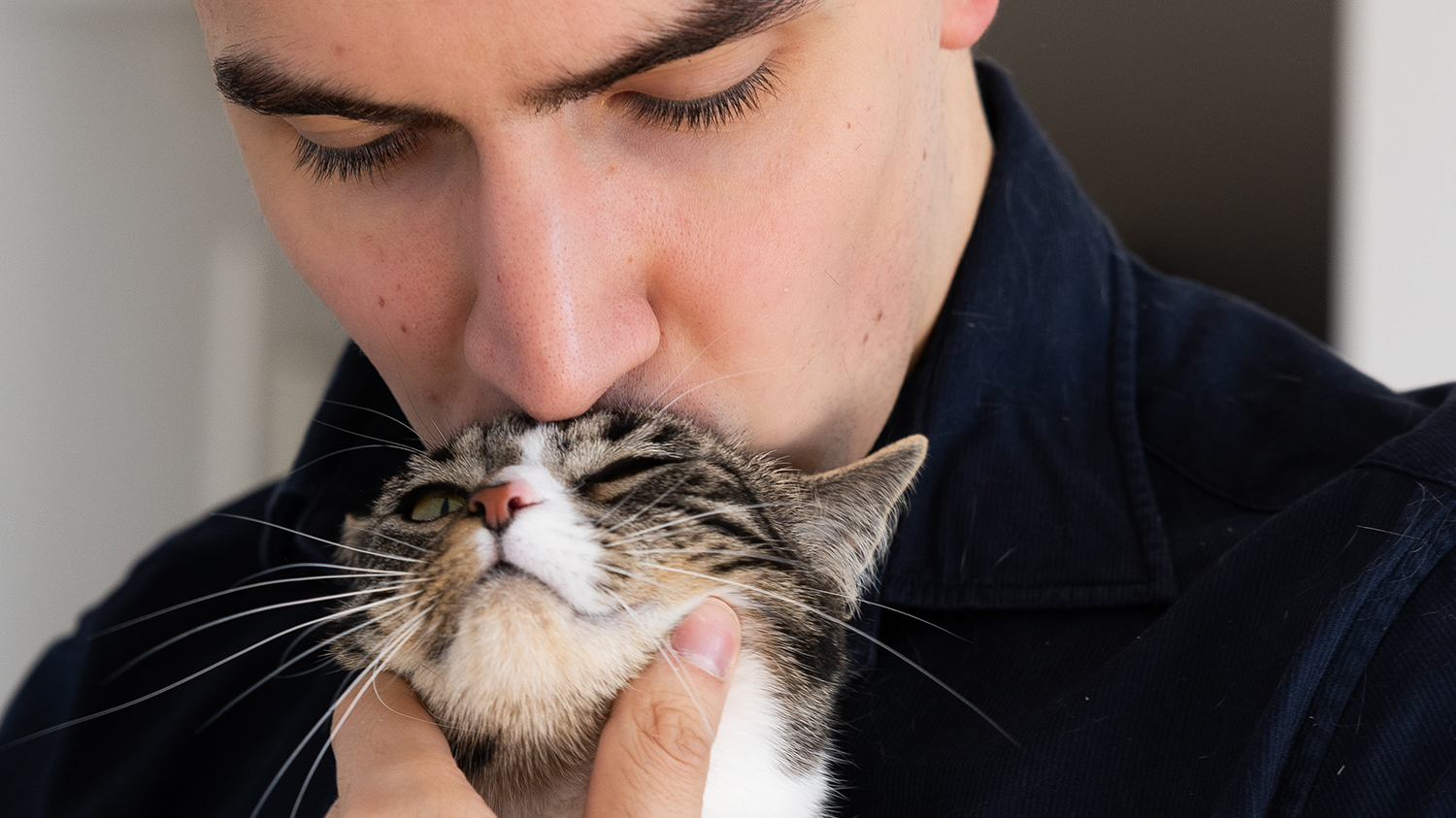 1500_843_Heml&ouml;sa katter.jpg