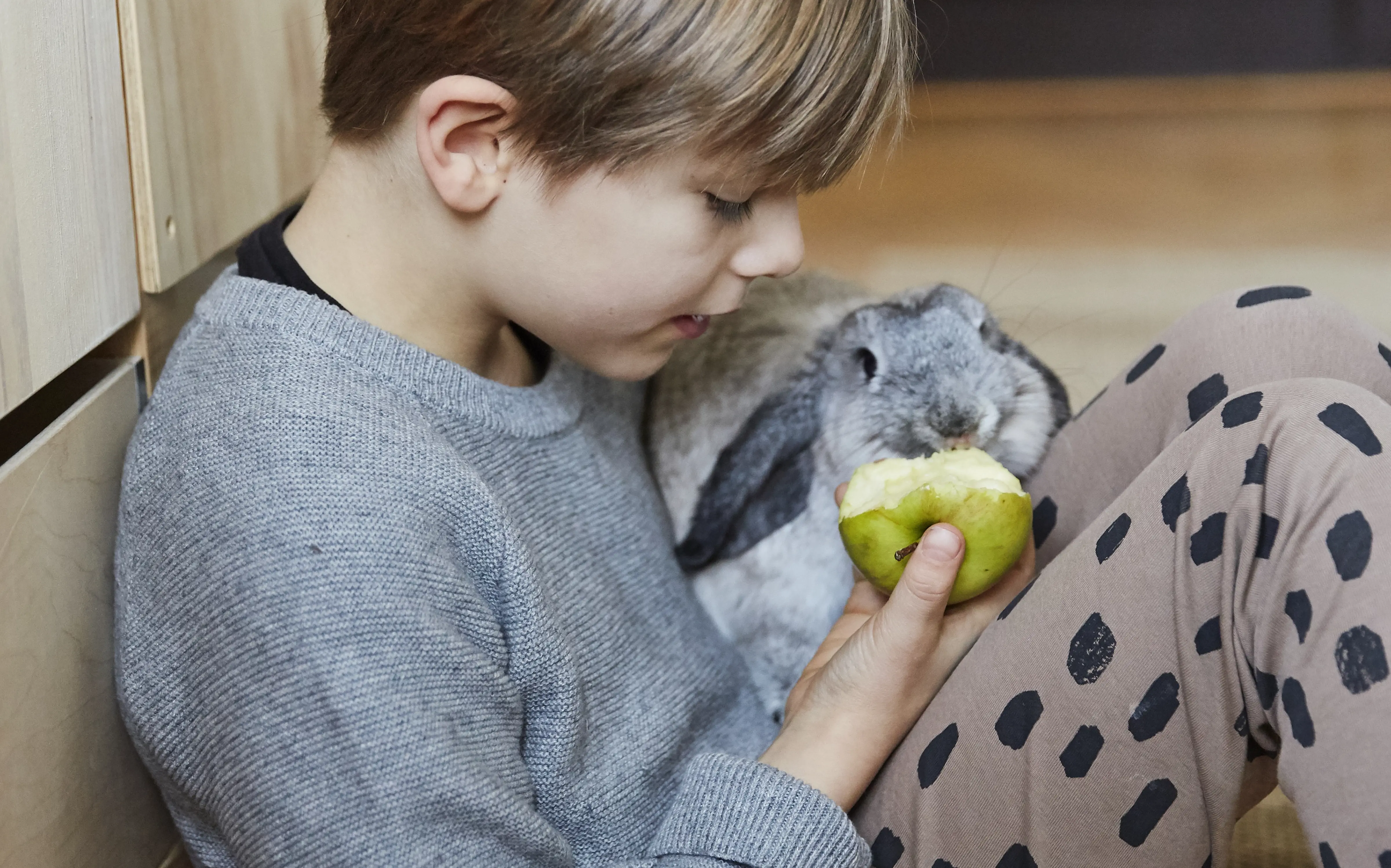 Pojke matar kanin med ett äpple.