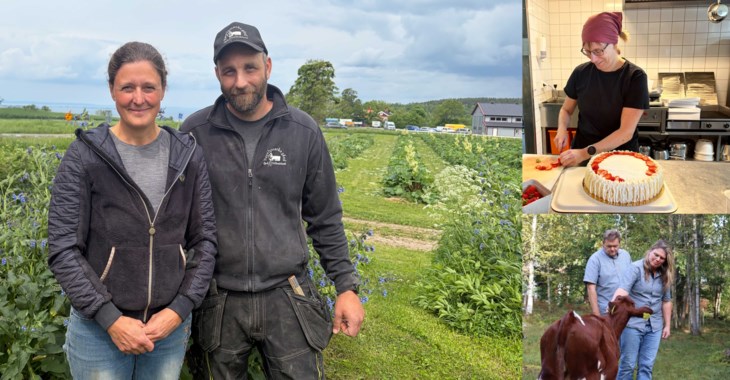De tre finalisterna i miljö.