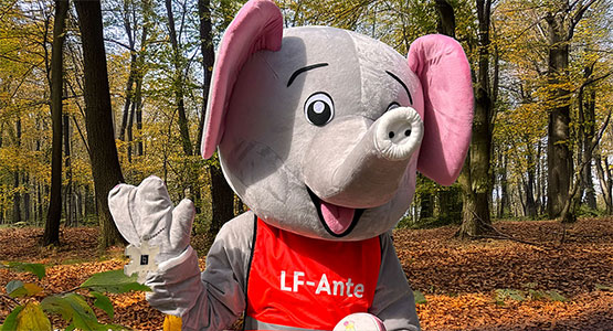 LF-Ante håller i reflexer