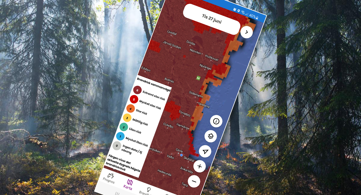 skog och skrämavbild msb appen. Bild.