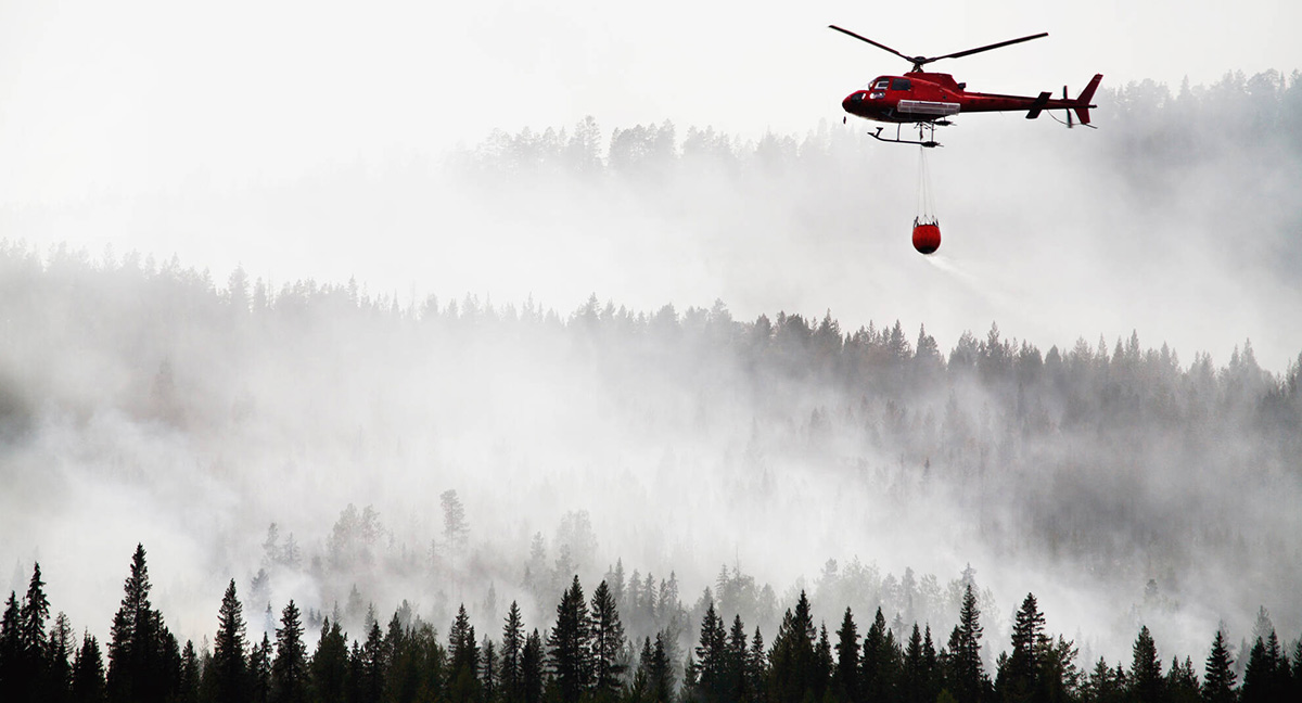helikopter släpper vatten över skog. bild