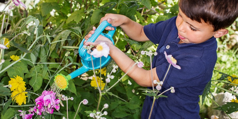Barn som vattnar blommor.