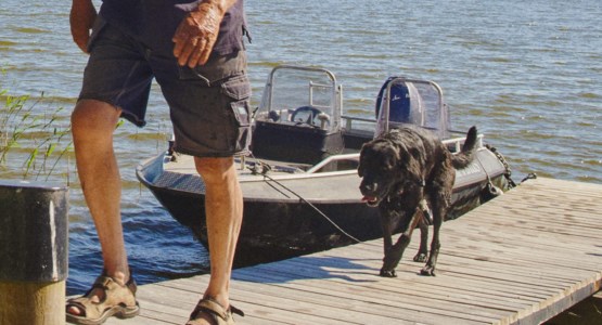 Man med hund på brygga.