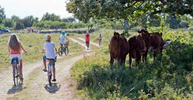 Kvinna och cyklande barn