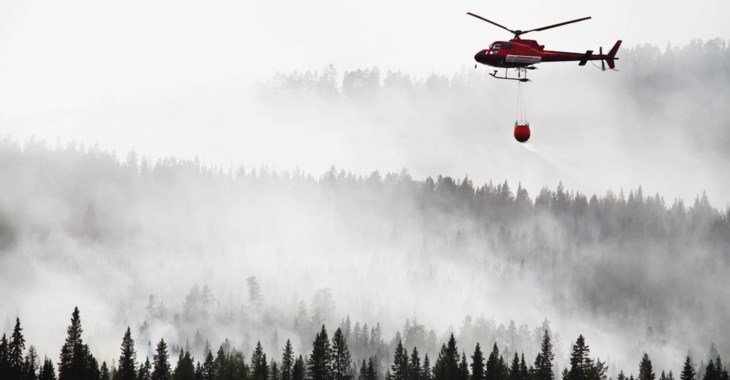 Helikopter vattenbombar skogsbrand.