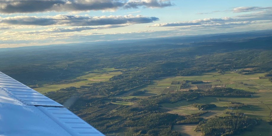 Flygbild över skogslandskap.